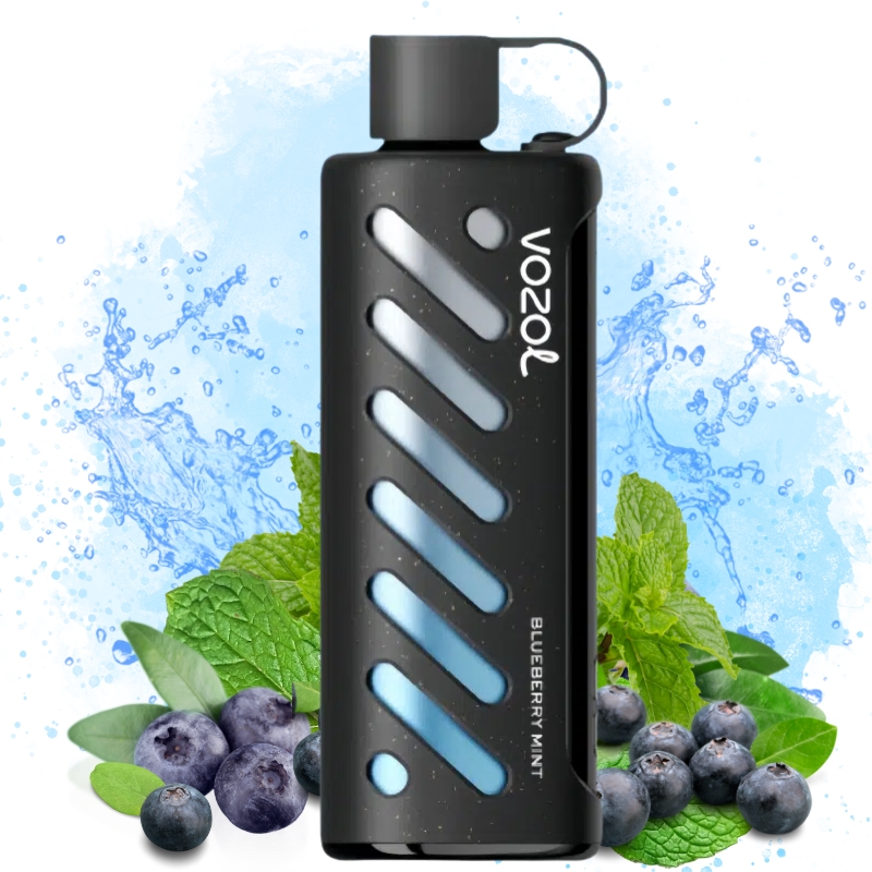 elfbar elfa master akku Vozol Gear Shisha 25000 - Ultimate guide: flavors, modes and autonomy main image 1